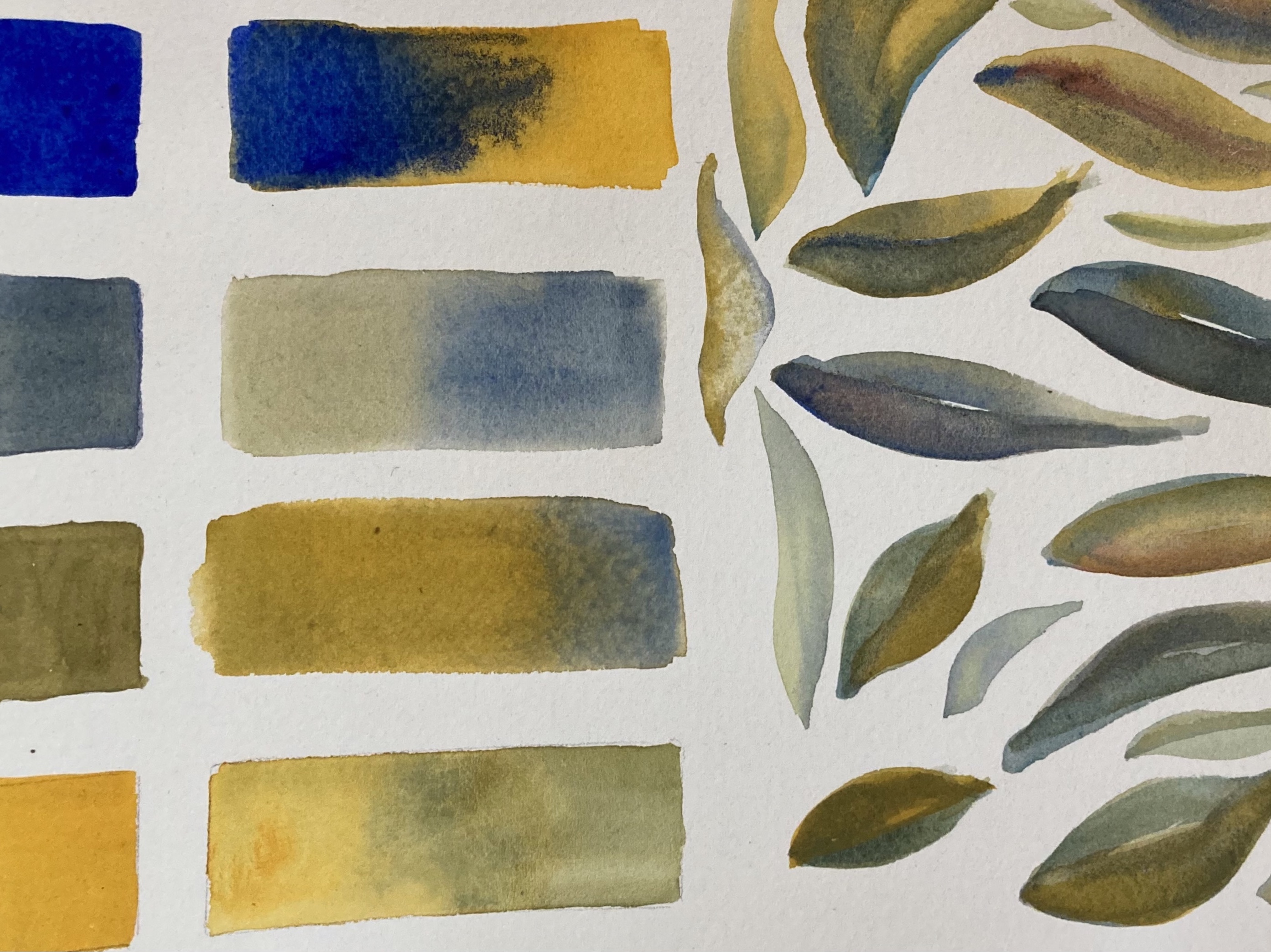 TDS | Beginner Watercolor: Color Mixing